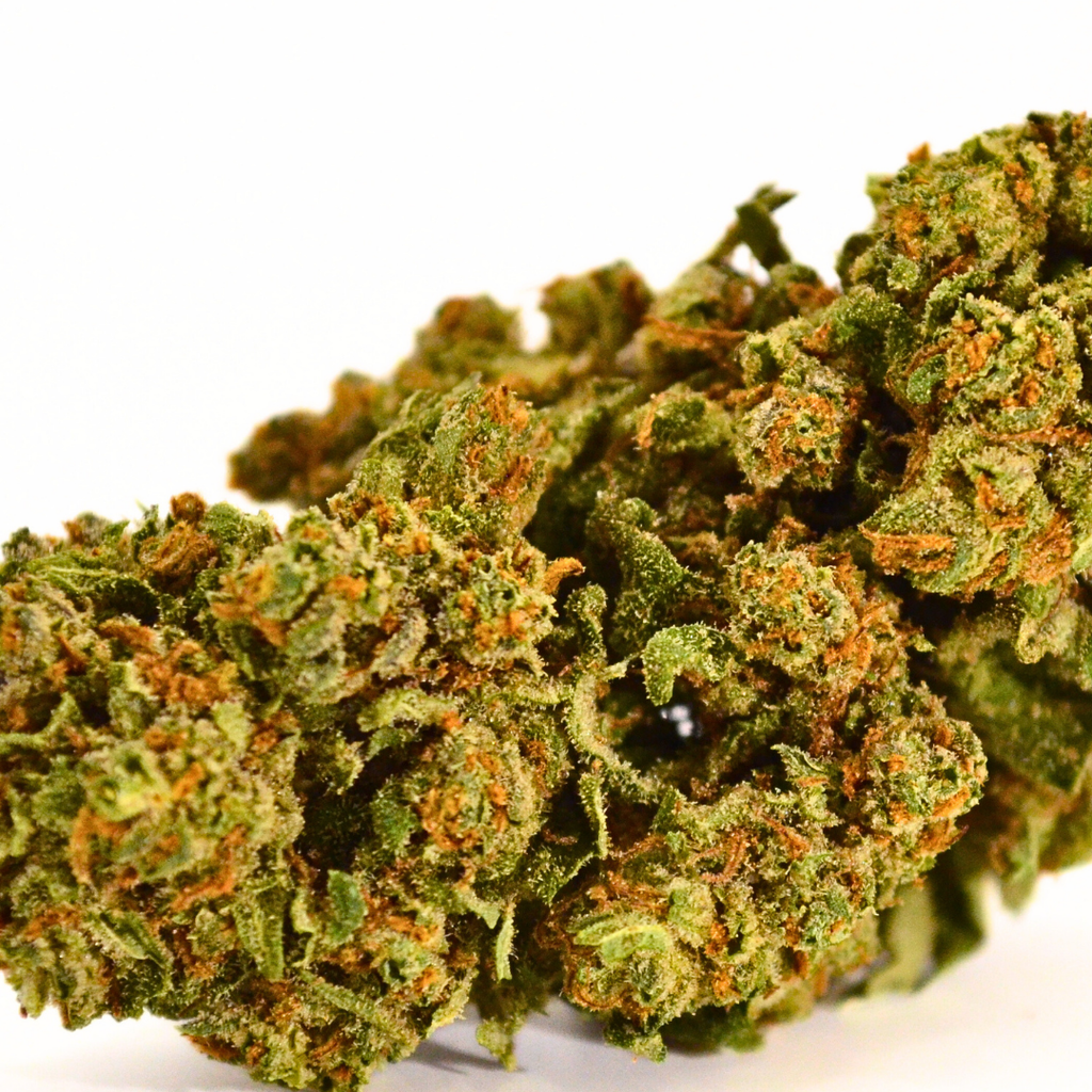 🍊 MIMOSA