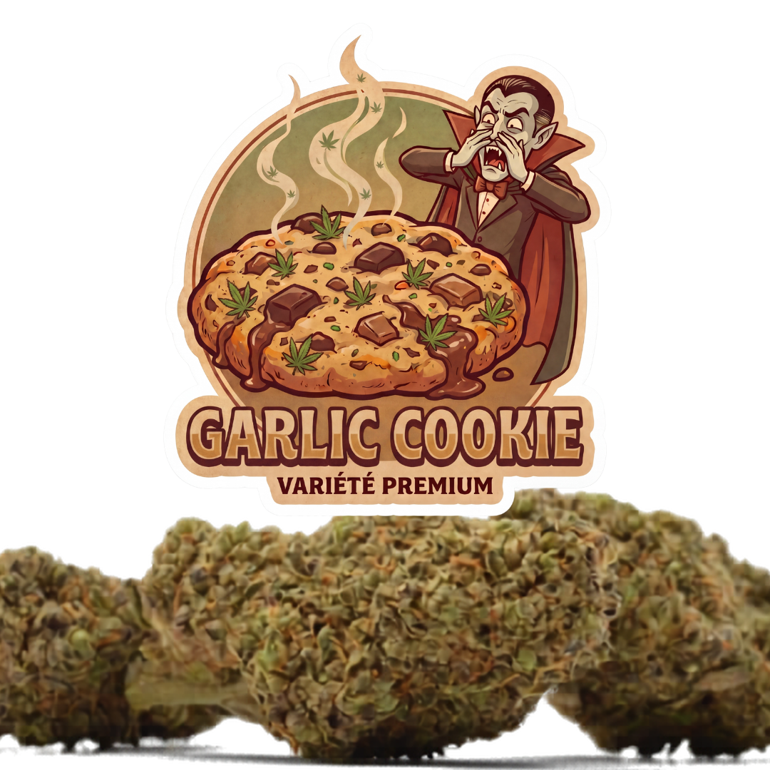 🍪 GARLIC COOKIE