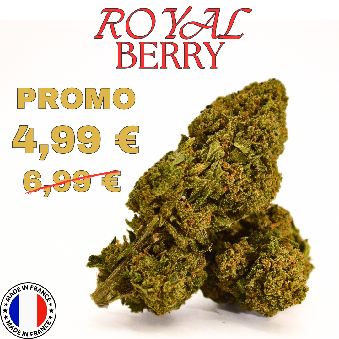 👑 ROYAL BERRY