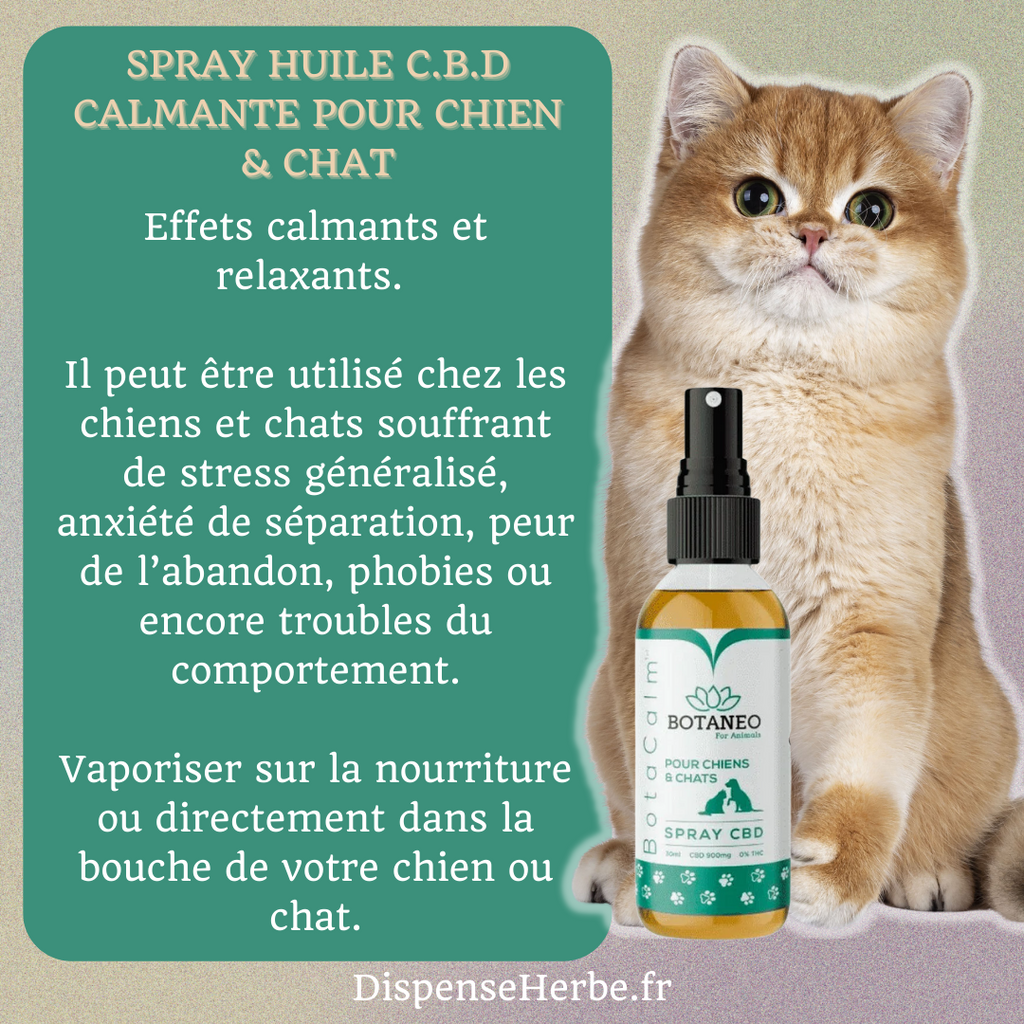 Animaux Spray CBD - DispenseHerbe 🍀
