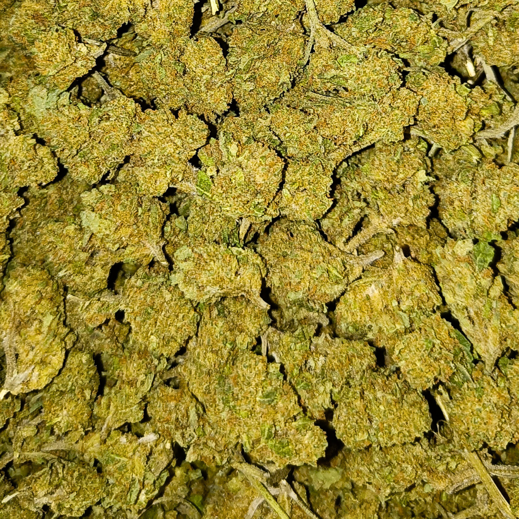 Small Buds CBD<br> Amnesia Française - DispenseHerbe 🍀