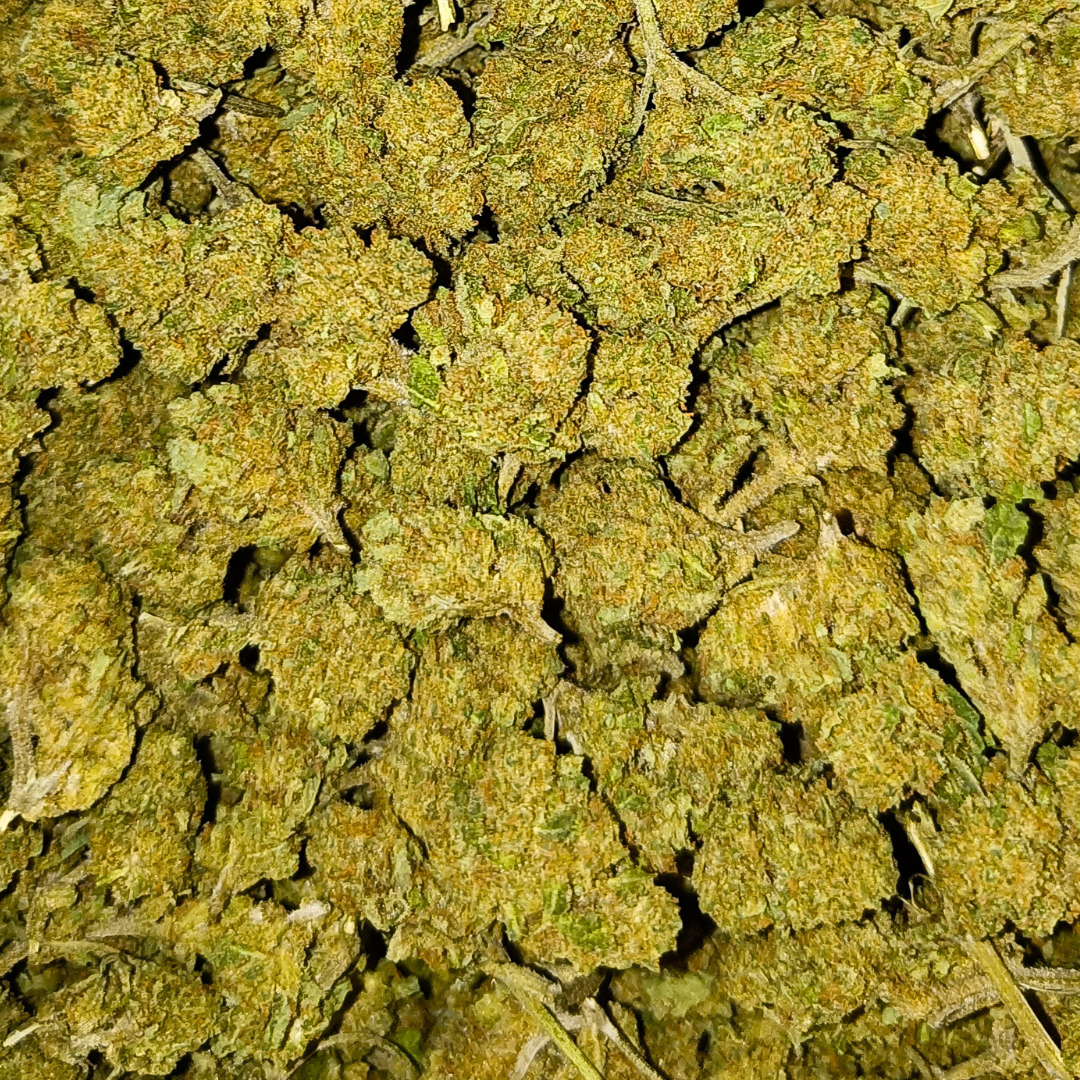 Small Buds CBD<br> Amnesia Française - DispenseHerbe 🍀