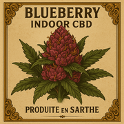 Fleur CBD | BLUEBERRY MUFFIN | INDOOR Sarthoise