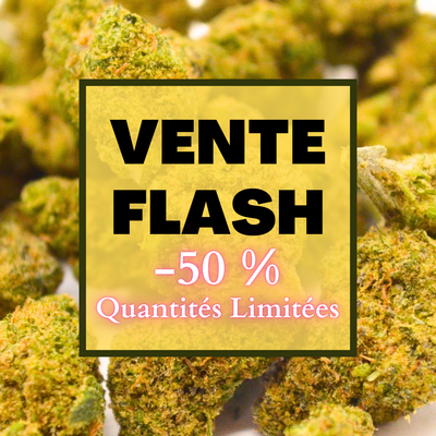 VENTES FLASH <br> ALIEN Haze HYDRO INDOOR 4€