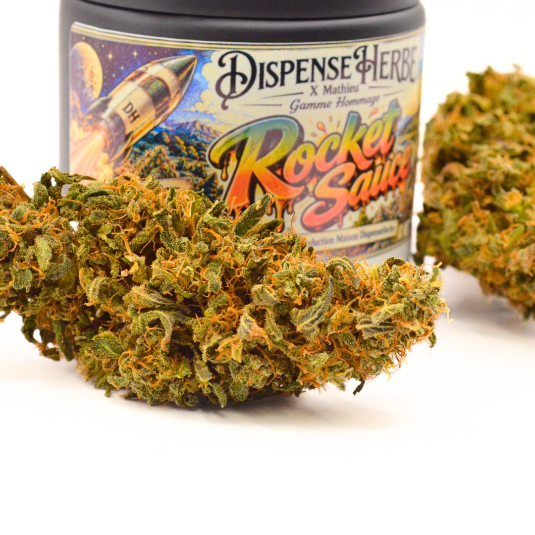 Fleur de CBD Rocket Sauce au premier plan devant son pot illustré DispenseHerbe × Mathieu.