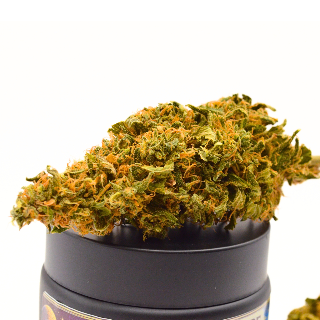 Fleur de CBD Rocket Sauce posée sur le couvercle noir de son pot, photographiée de près.