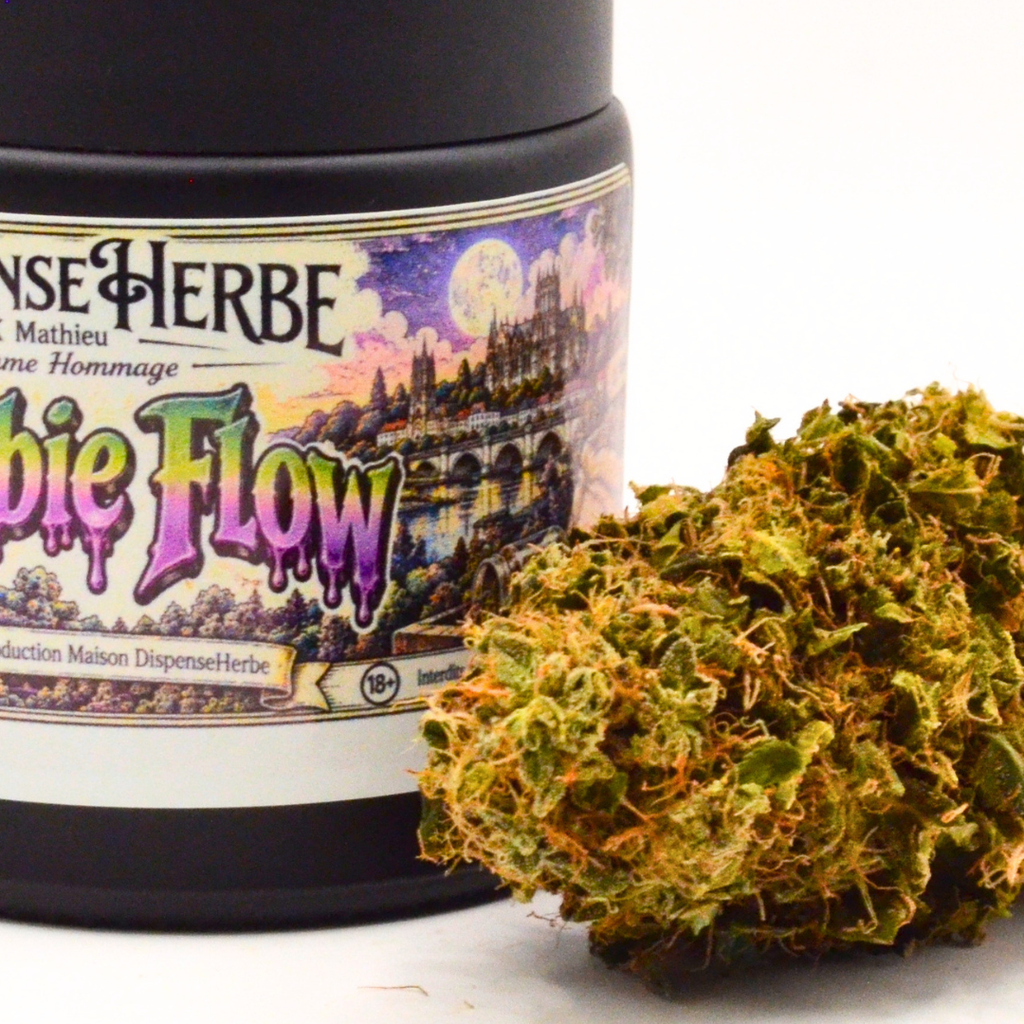 Gros plan sur une fleur de CBD Zombie Flow devant son pot à l’étiquette violette.