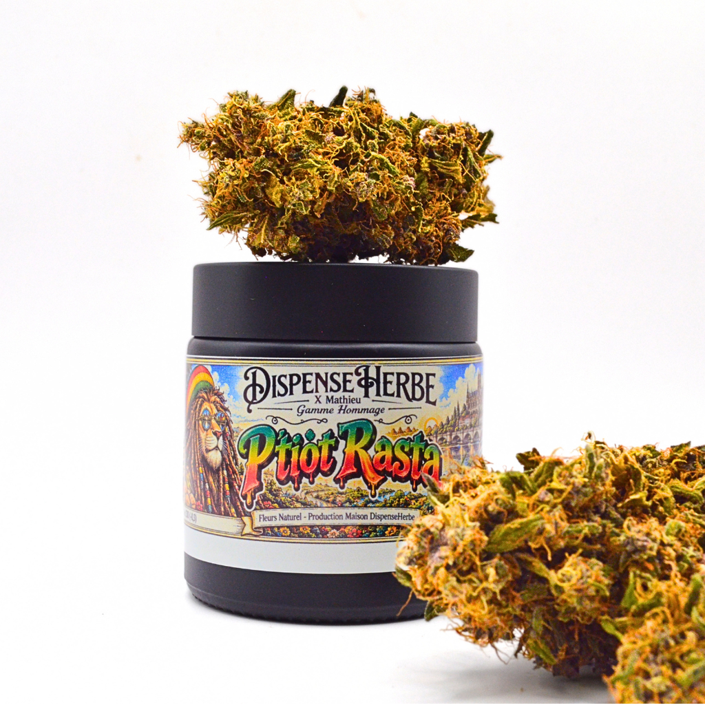 Pot P’tiot Rasta Rainbow Sherbet DispenseHerbe × Mathieu avec une fleur sur le couvercle et une fleur au premier plan.