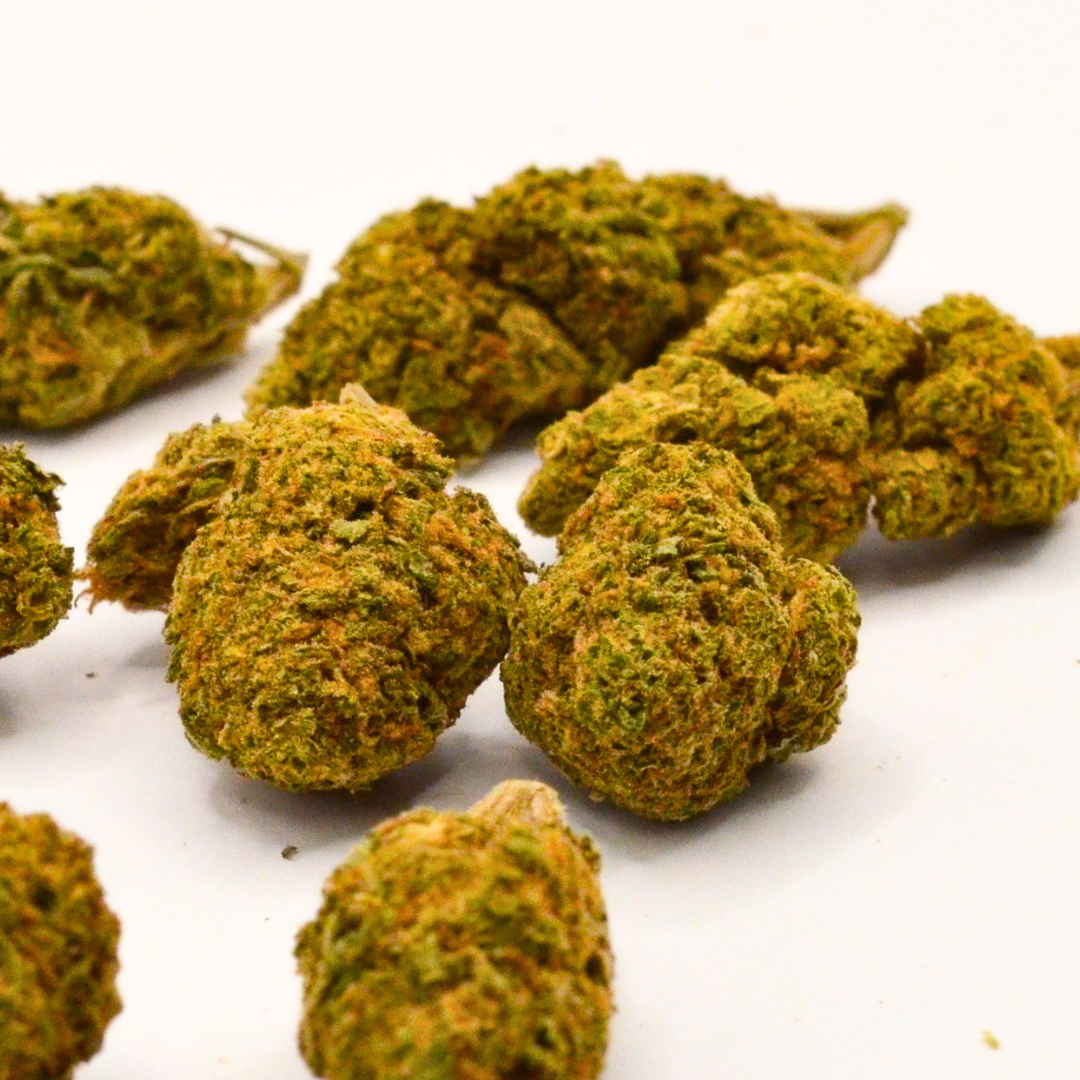 Détail des fleurs de CBD Swizzler au premier plan, avec d’autres têtes à l’arrière-plan.