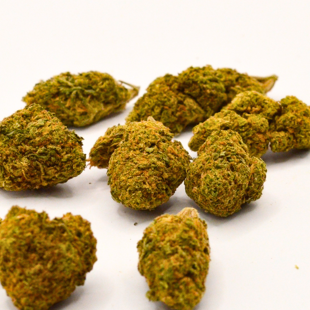 Vue rapprochée de plusieurs fleurs de CBD Swizzler vertes aux pistils orangés.