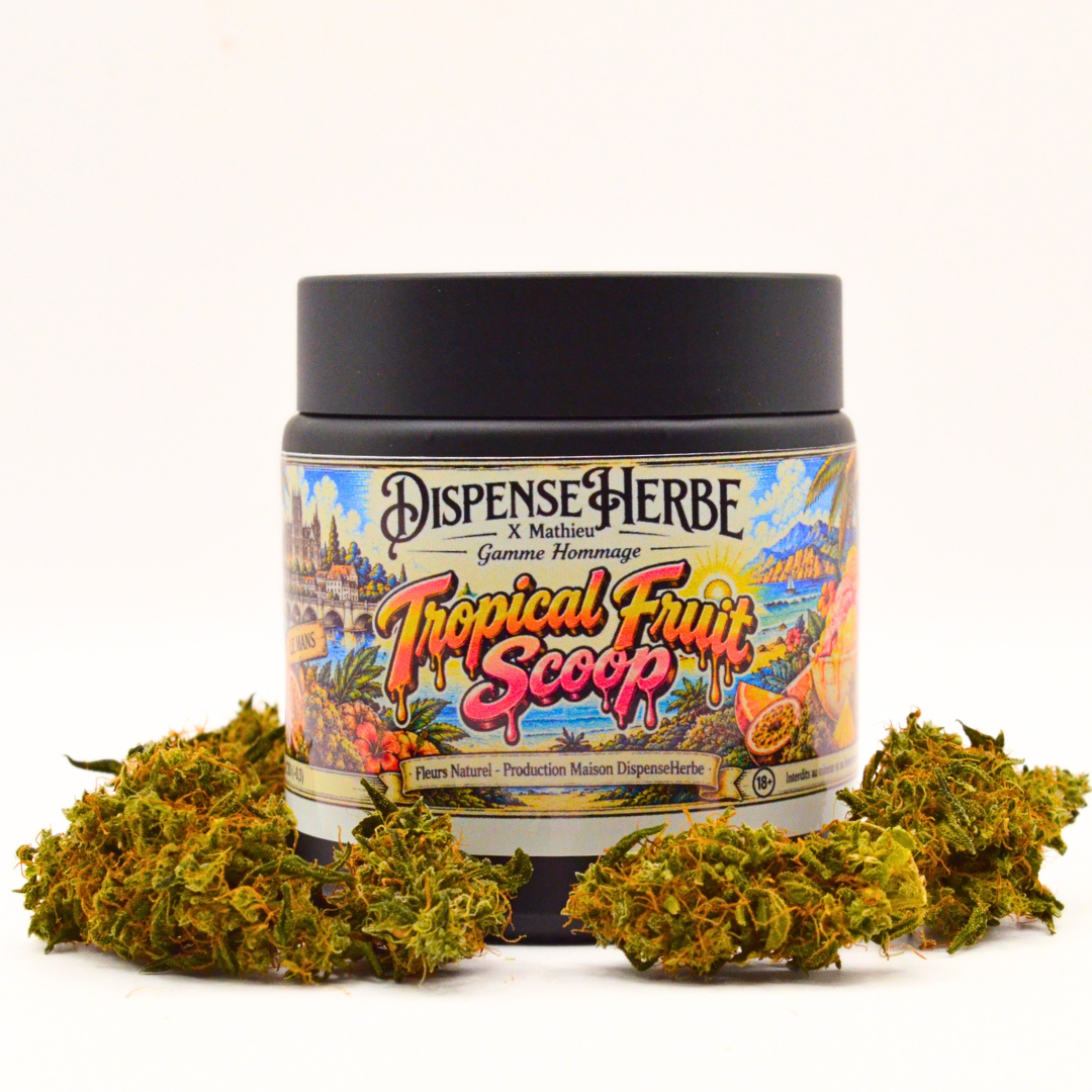 Pot illustré Tropical Fruit Scoop DispenseHerbe × Mathieu entouré de fleurs de CBD.