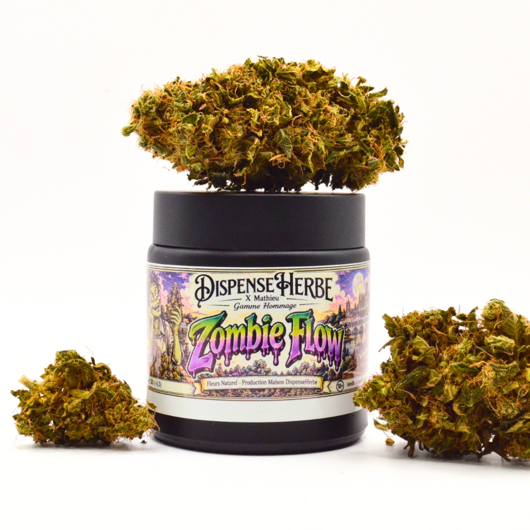 Pot Zombie Flow DispenseHerbe × Mathieu avec une fleur de CBD sur son couvercle et d’autres fleurs autour.
