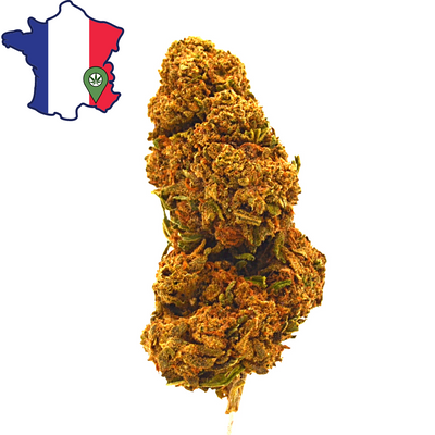 Fleur CBD <br> Orange BUD Française - DispenseHerbe 🍀