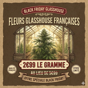 🔥BLACK FRIDAY |  Fleur Françaises GLASSHOUSE 🔥 2€99 le Gr