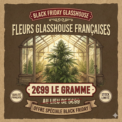 🔥BLACK FRIDAY |  Fleur Françaises GLASSHOUSE 🔥 2€99 le Gr