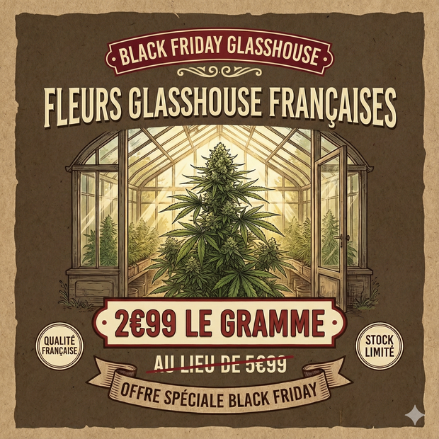 🔥BLACK FRIDAY |  Fleur Françaises GLASSHOUSE 🔥 2€99 le Gr