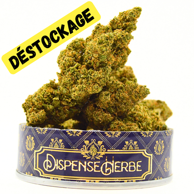 PROMO Fleur CBD <br> GREEN POISON Destockage