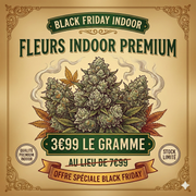 🔥 Black Friday | Fleurs Premium INDOOR 🔥 3.99€/g
