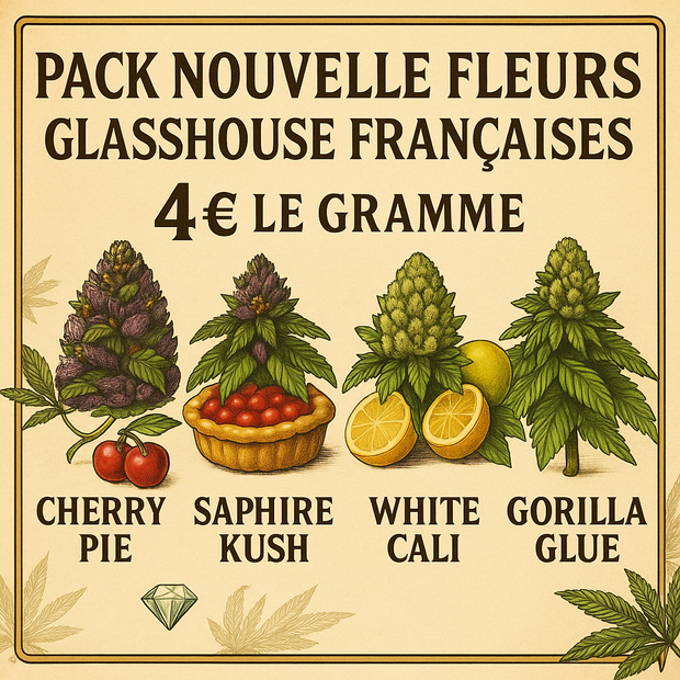 Pack Nouvelle Fleurs GlassHouse Françaises (4€ le gr)