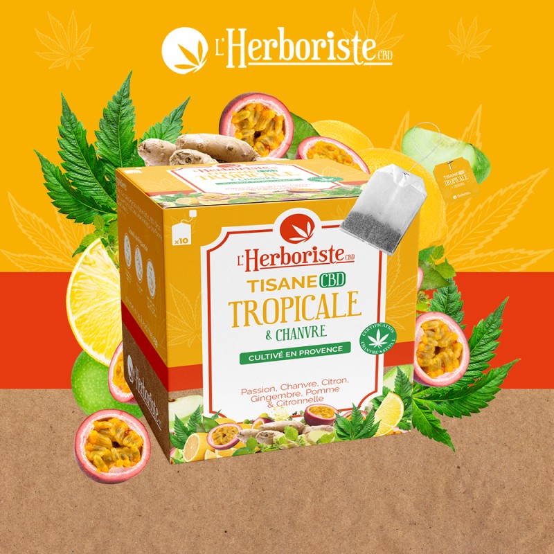 Visuel L’Herboriste de la tisane CBD Tropicale, avec sa boîte orange, un sachet et des fruits tropicaux.