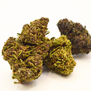 Fleur CBD <br> Orange Bud BIO Fr