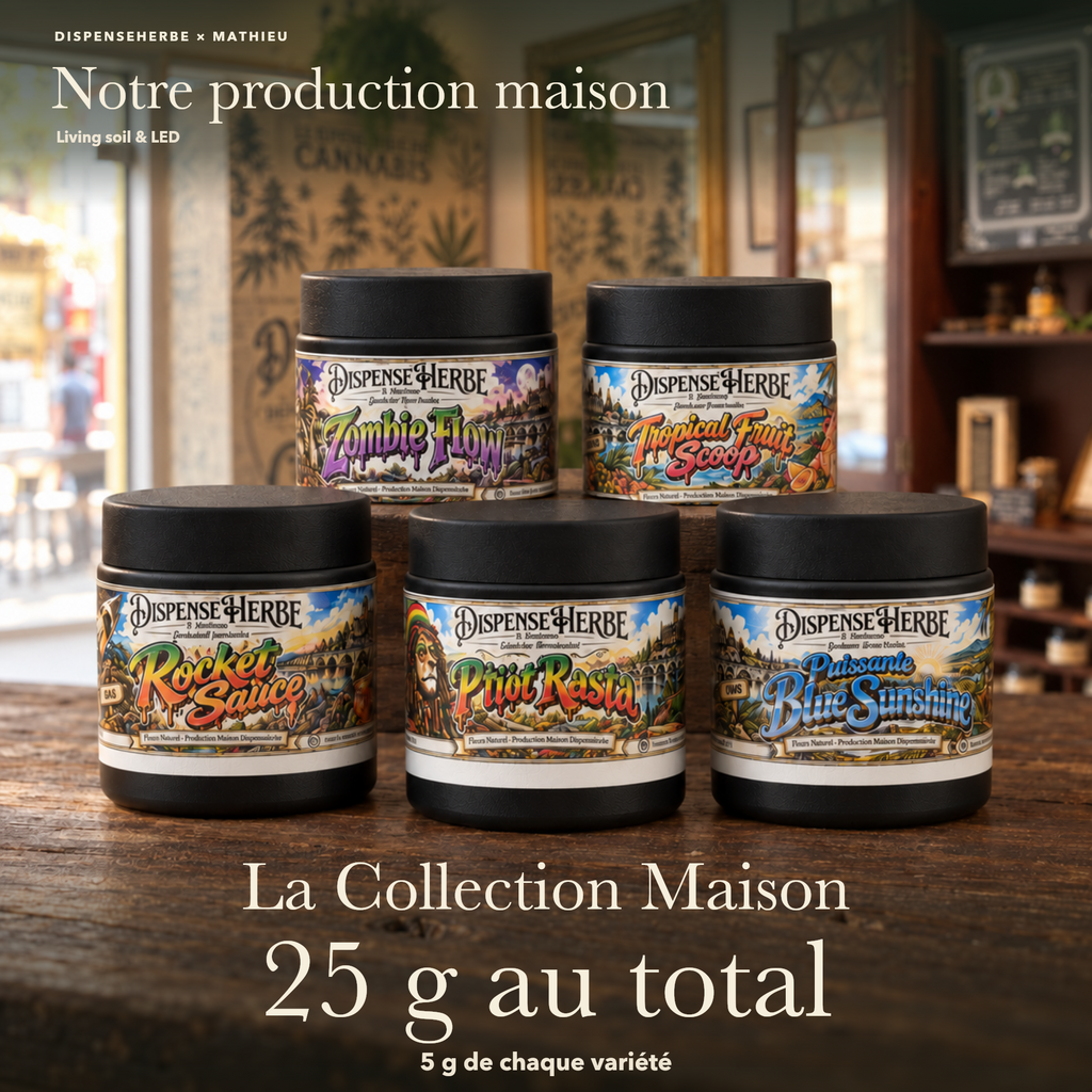Visuel La Collection Maison 25 g : les cinq pots de fleurs CBD DispenseHerbe × Mathieu, soit 5 g de chaque variété.