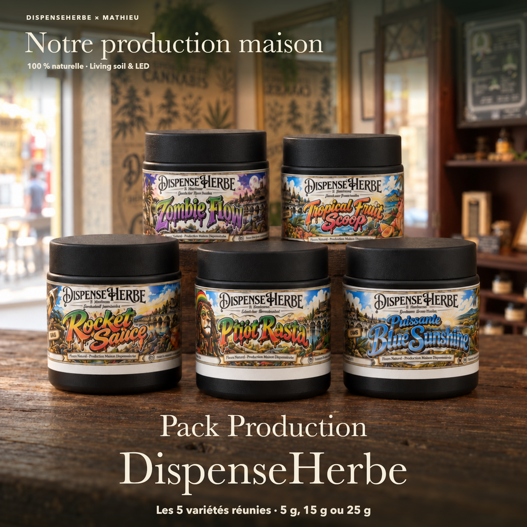 Présentation du Pack Maison DispenseHerbe × Mathieu avec les pots des cinq variétés : Zombie Flow, Tropical Fruit Scoop, Rocket Sauce, P’tiot Rasta et Puissante Blue Sunshine.