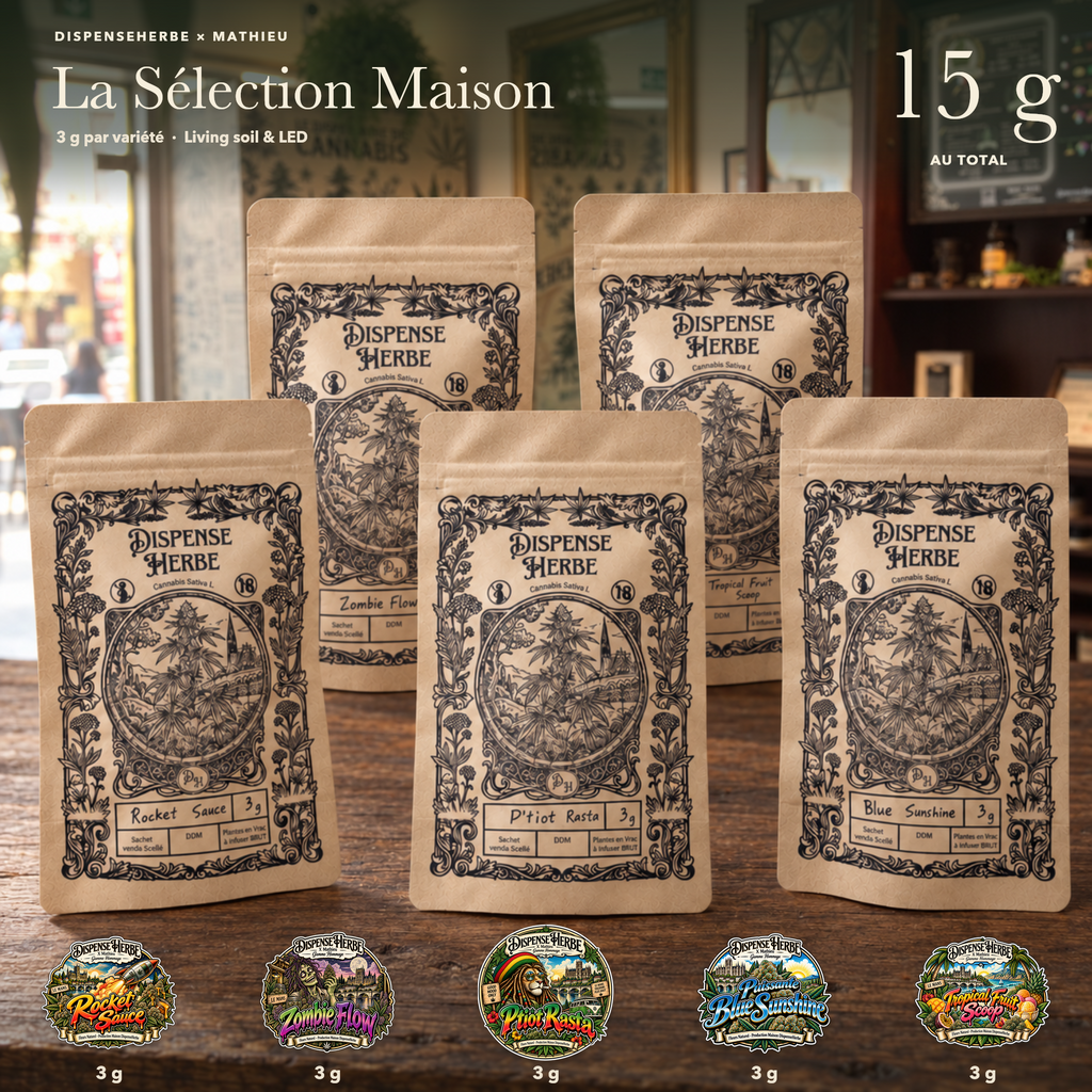 Visuel La Sélection Maison 15 g : cinq sachets de fleurs CBD DispenseHerbe × Mathieu, soit 3 g de chaque variété.