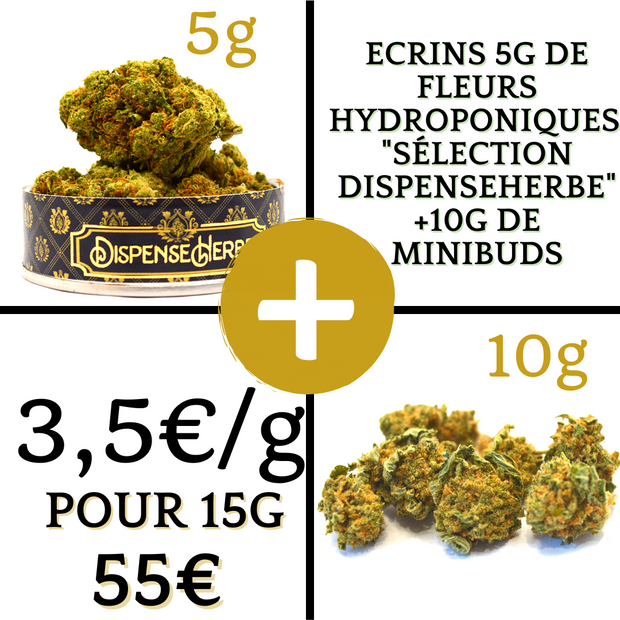 PACK Hydro + 10g de MiniBuds <br> 3€50 le gr Dispense Herbe 