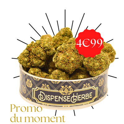 SOLDES Fleurs PREMIUM Mystère à 4.99€ le G - DispenseHerbe 🍀