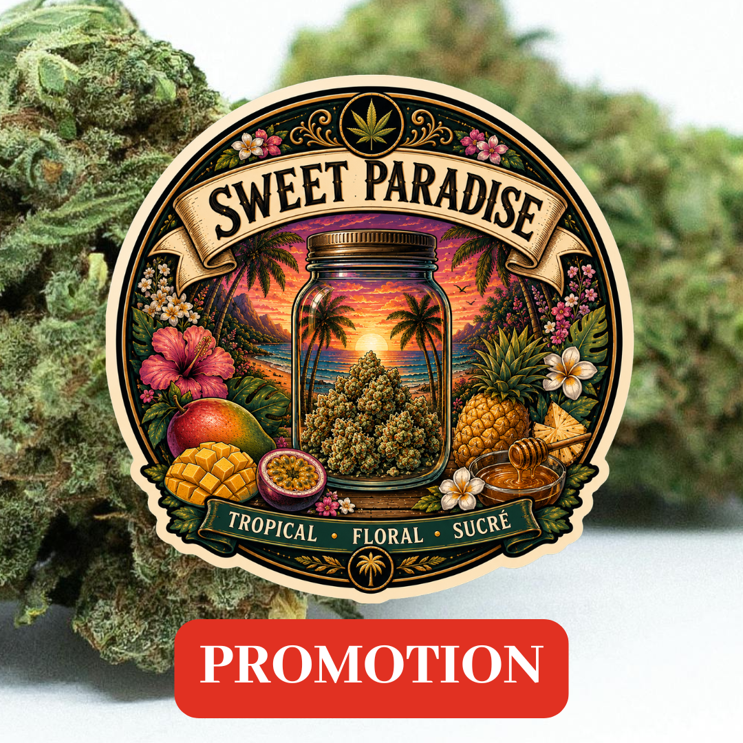 🌴 SWEET PARADISE