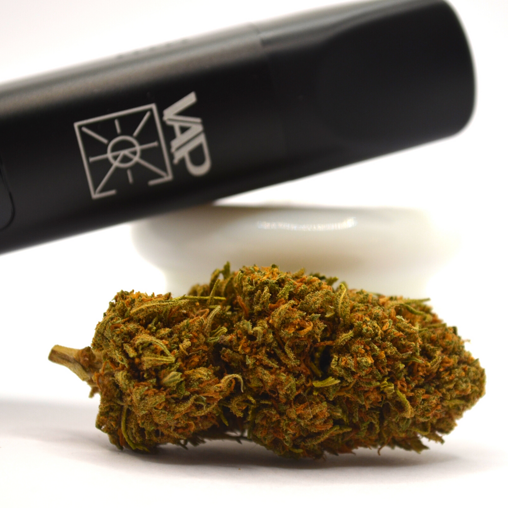 Vaporisateur CBD<br> V.A.P. (XMax V3 Pro) Embouts en Verre - DispenseHerbe 🍀