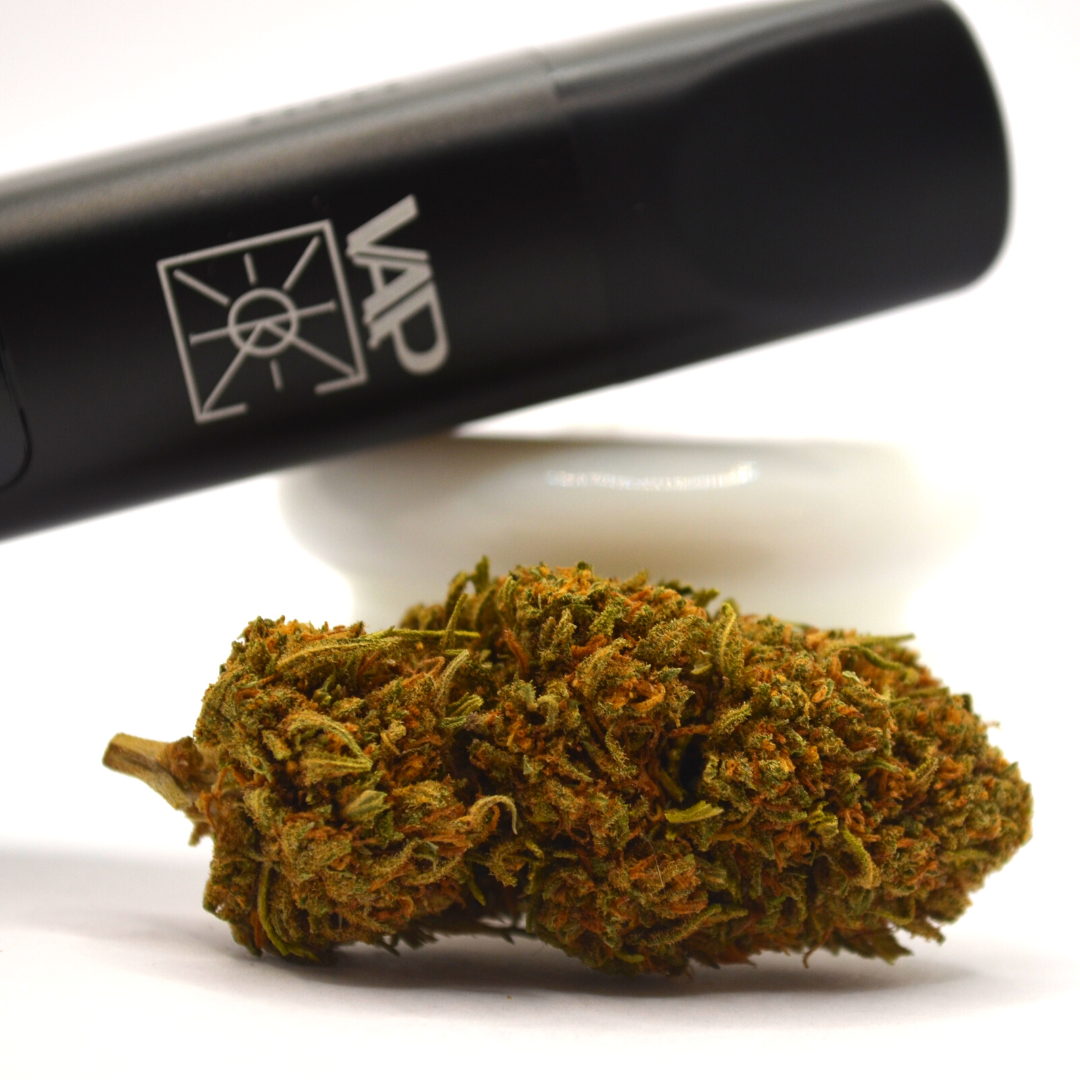 Vaporisateur CBD<br> V.A.P. (XMax V3 Pro) Embouts en Verre - DispenseHerbe 🍀