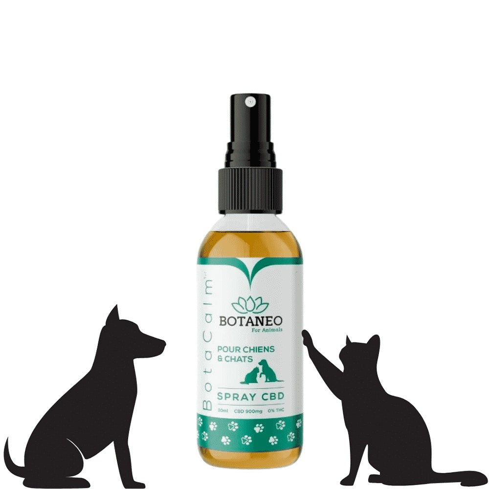 Animaux Spray CBD - DispenseHerbe 🍀
