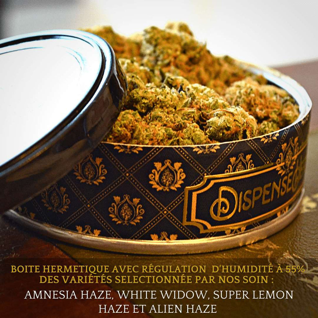 Fleur CBD <br> Amnesia Haze Hydro <br> Sélection DispenseHerbe - DispenseHerbe 🍀