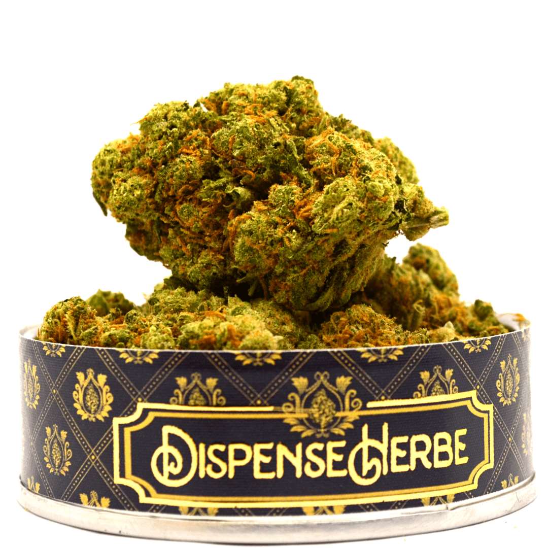 Fleur CBD <br> Amnesia Haze Hydro <br> Sélection DispenseHerbe - DispenseHerbe 🍀