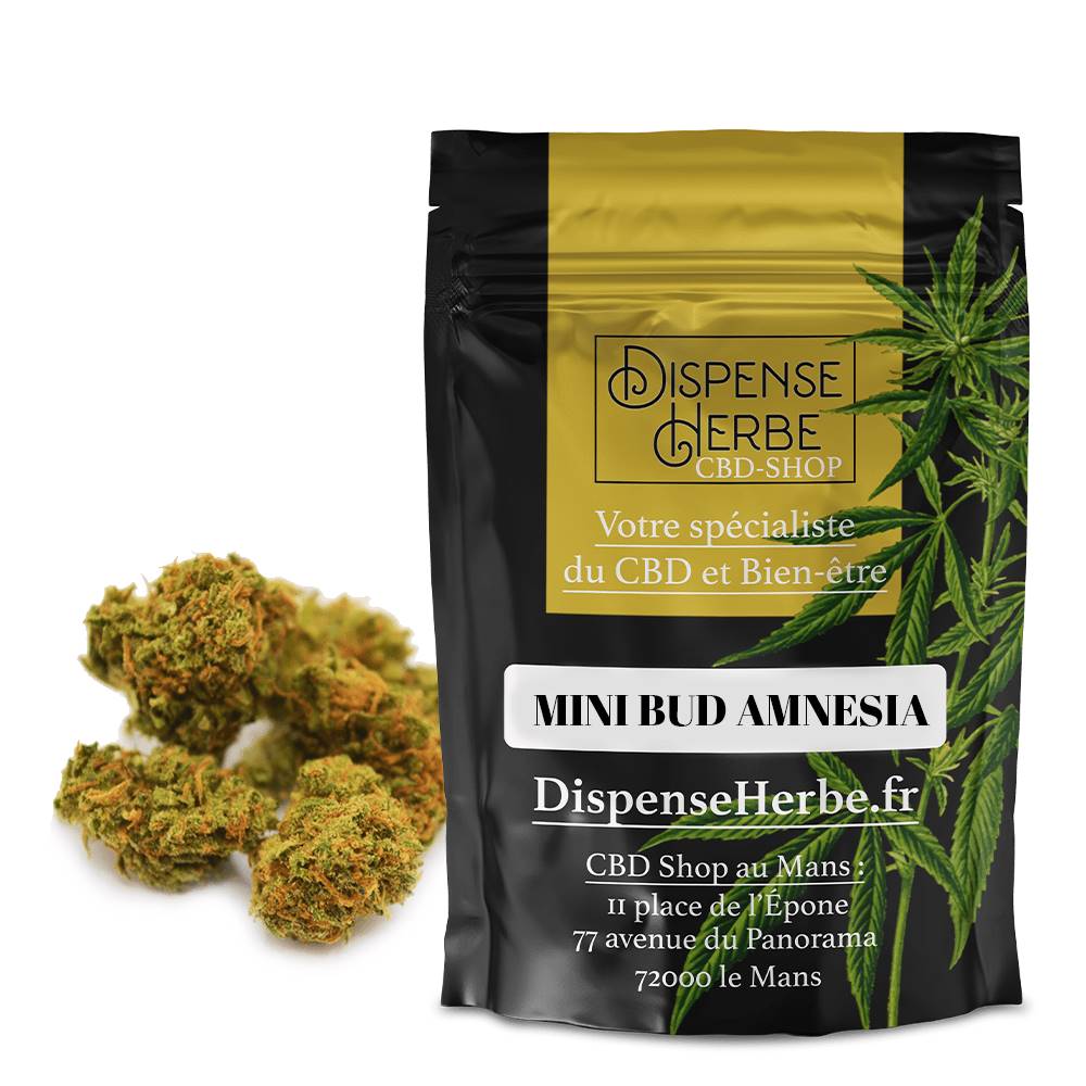 Small Buds CBD<br> Amnesia Française - DispenseHerbe 🍀