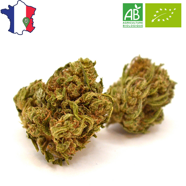 Fleur CBD <br> La Golden BIO Française - DispenseHerbe 🍀